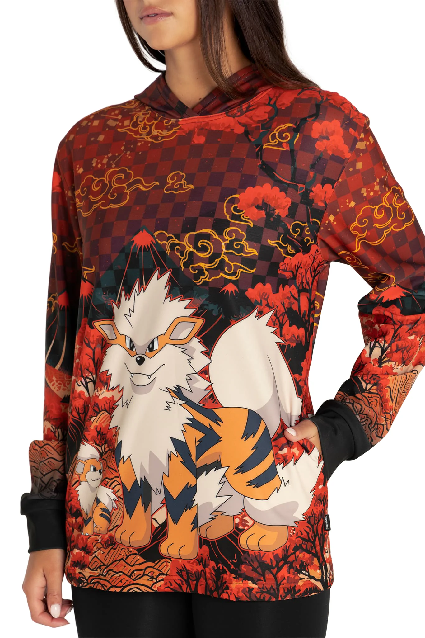 Arcanine And Growlithe Hoodie Sweater - Image 3
