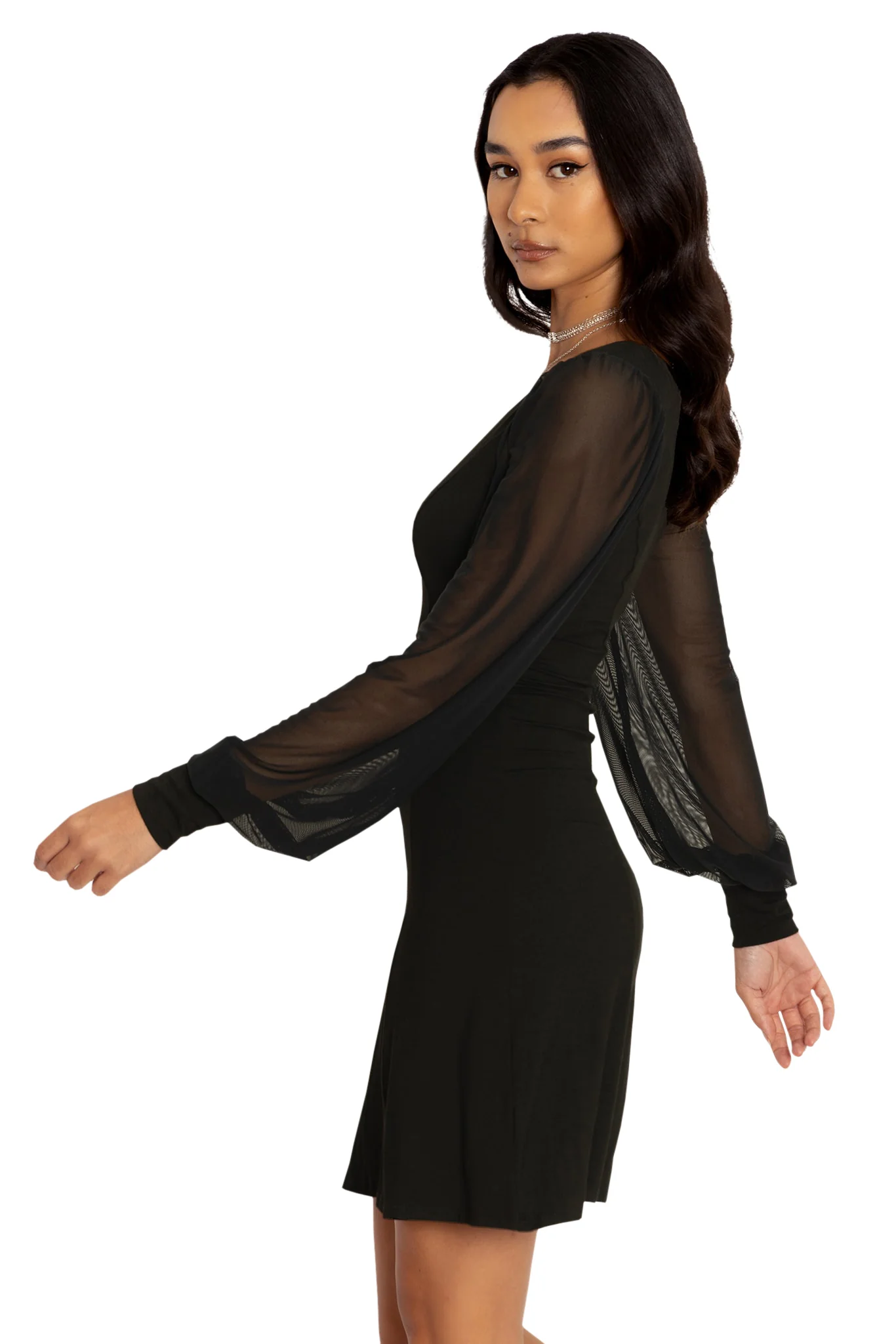 Sheer Excellence Dress - Image 5