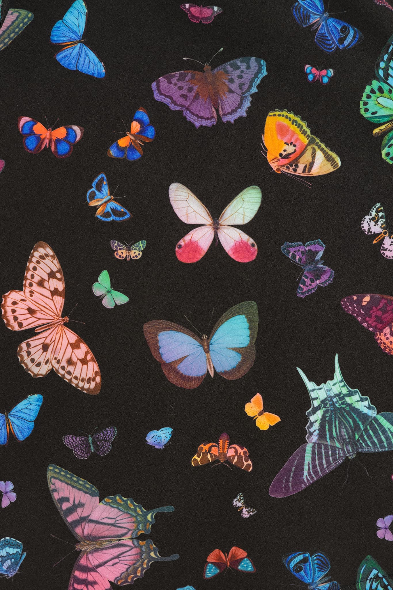 Butterflies Fluttering By Business Time Skater Dress - Image 8