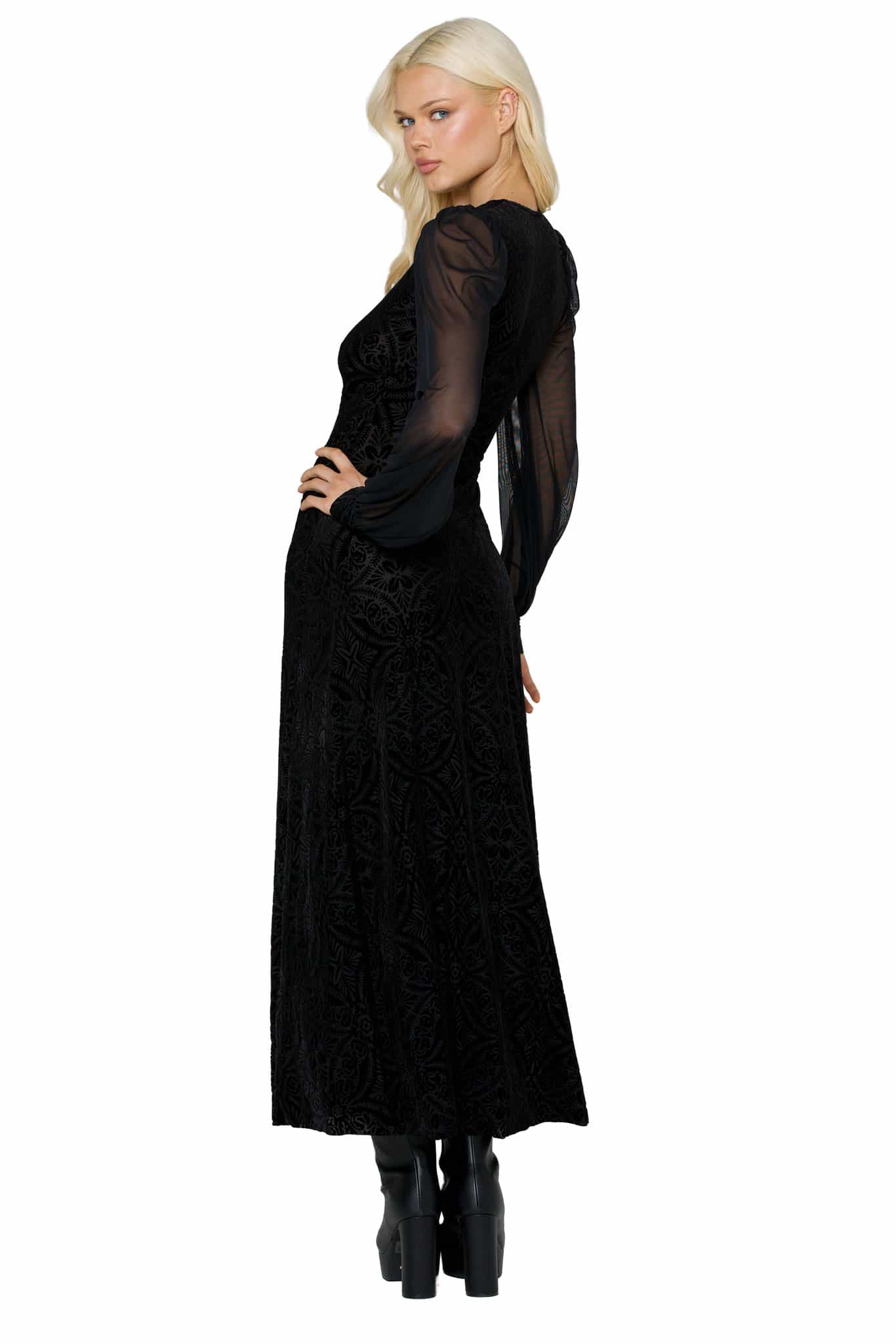 Black Burned Velvet Sheer Romance Maxi Dress - Image 5
