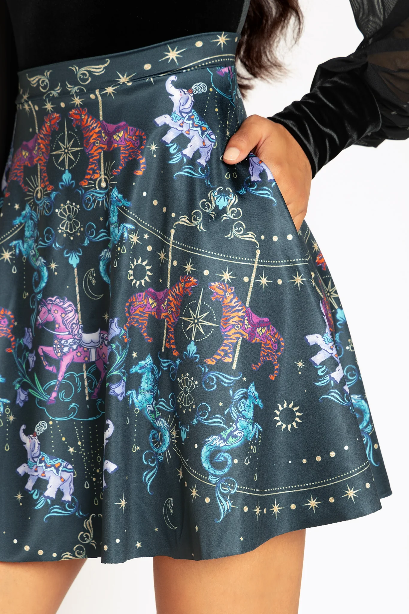 Carousel Shiny Pocket A-Line Skirt - Image 4