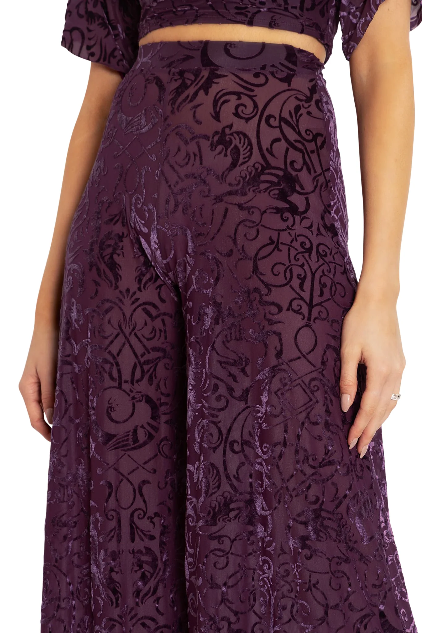 Burned Velvet Gothic Gates Plum Palazzo Pants - Image 3