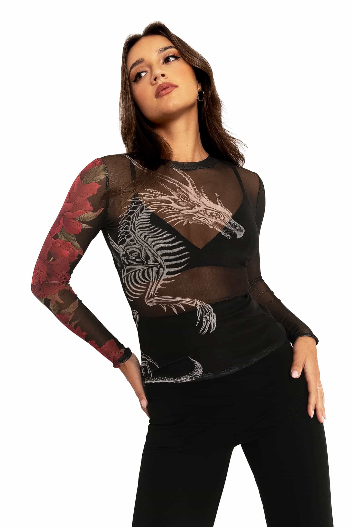 Skeletal Dragon Sheer High Neck Long Sleeve Top - Image 6