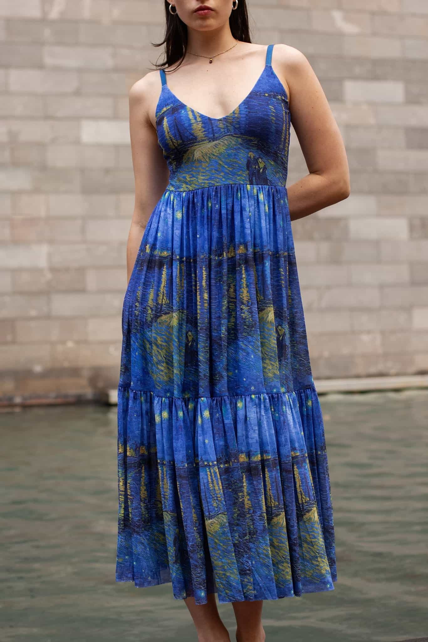 Starry Night Over The Rhône Sheer Midaxi Dress - Image 3